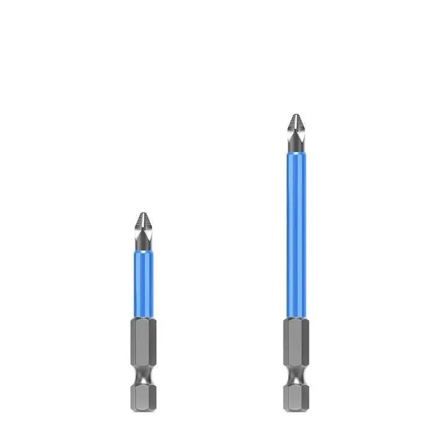 Magnetic kit of bits for screwdriver