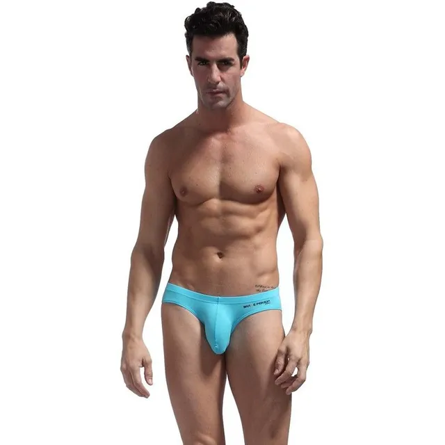 Men's comfortable briefs Marquis - more variants