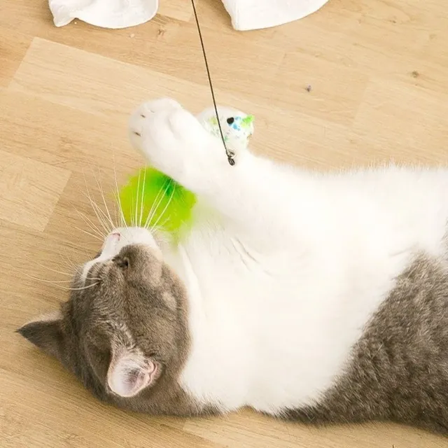 Interactive toy for cats with feathers