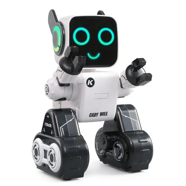 R4 Roboradce - consilier robotic inteligent, casetă de bani și jucărie pentru copii