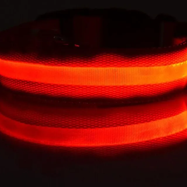 Illuminated LED dog collar