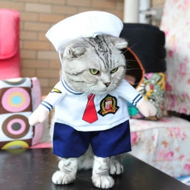 Costum amuzant pentru pisici