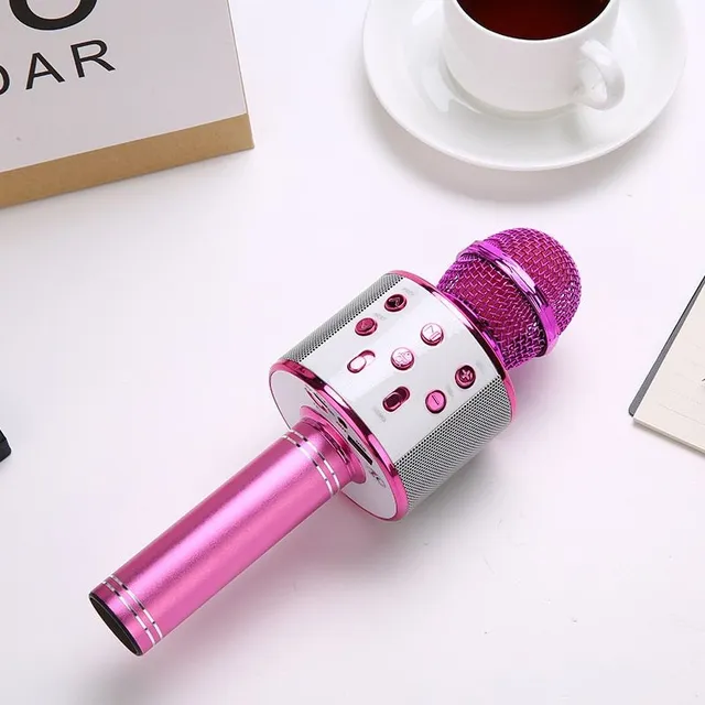 Microfon karaoke cu setare profesională - diferite culori Florian