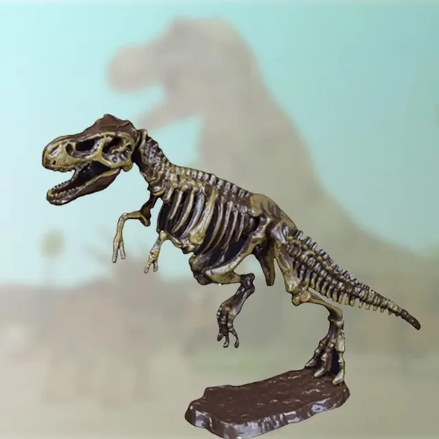 3D dinosaurus Kostra (náhodný)