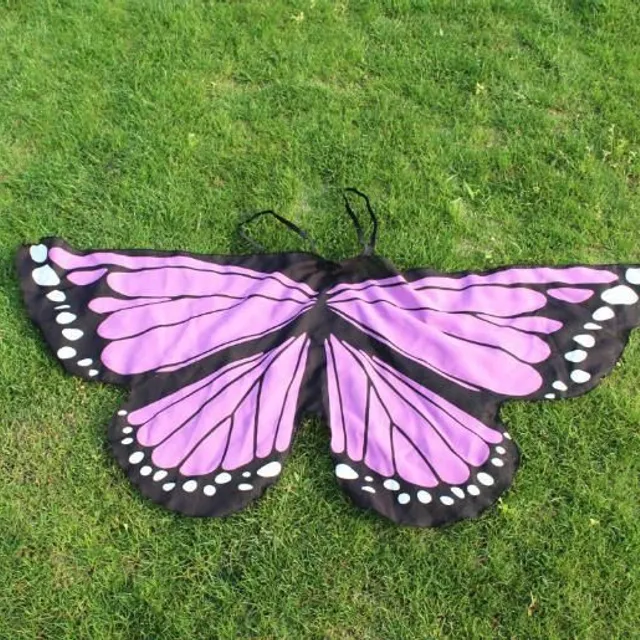 Zdobit motýlí křídla
