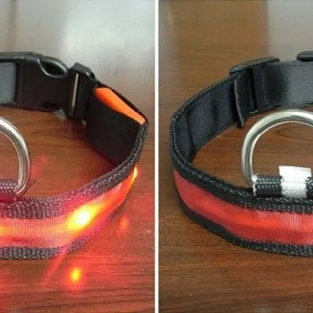 Ware LED light-up collar