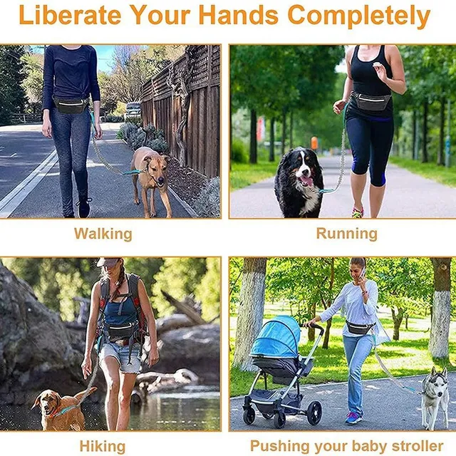 Resistant elastic nylon guide for dogs for running and walking - Mummifying guide with comfortable handle - Ideal for active dogs and owners