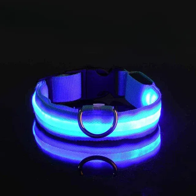 Practical collar with LED strap for improved visibility - USB power supply, more colors
