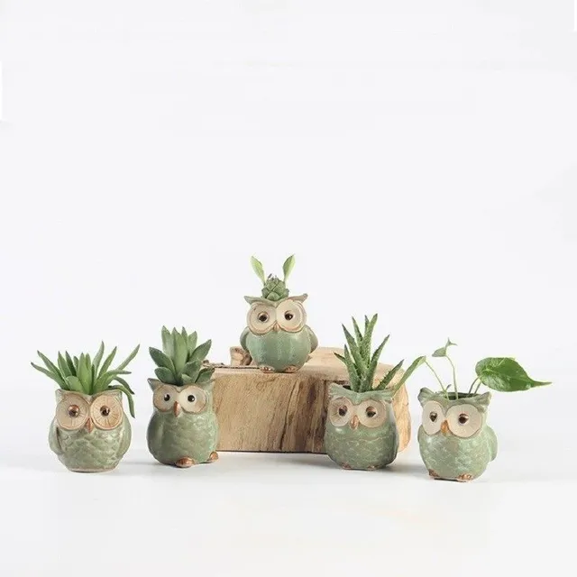 Set of pots in owl shape 5 pcs