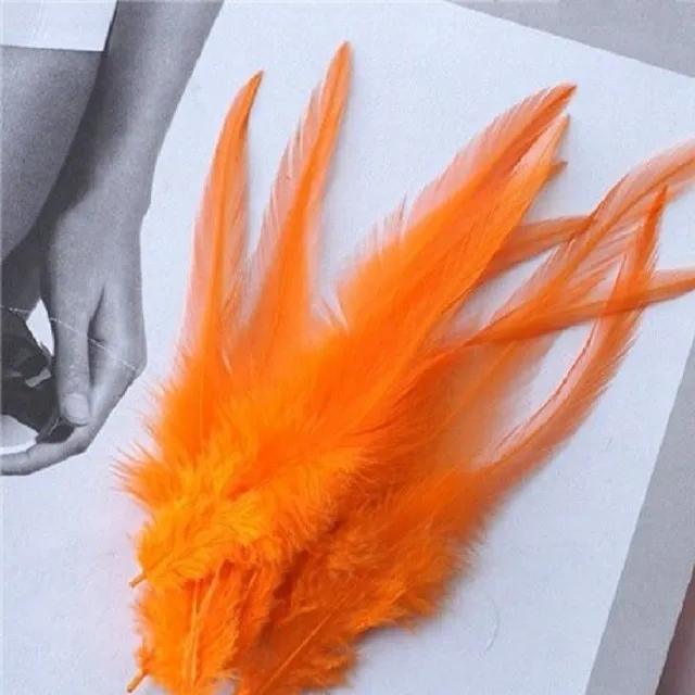 Decorative cock feathers 10-15 cm 50 pcs