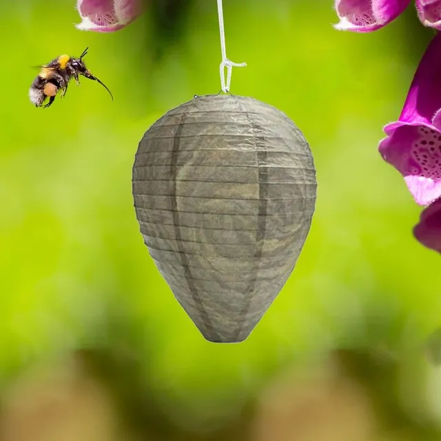 Hanging wasp trap