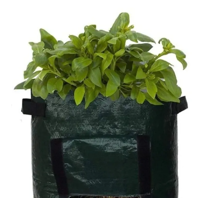 Gardening bag for growing vegetables