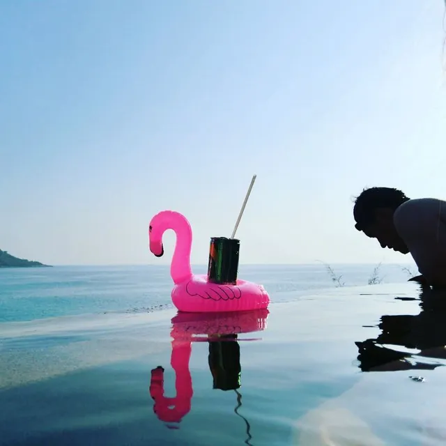 Stylish floating flamingo drink holder