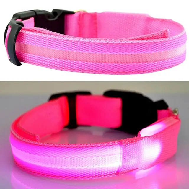 Lighting LED collar for small and medium dogs - for safe night walks