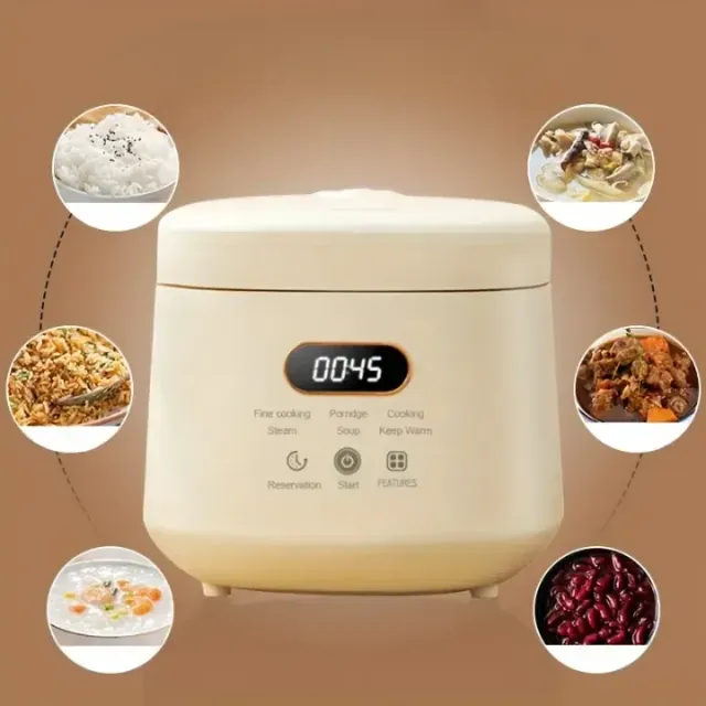 Small multifunctional rice cooker with removable non-stick container