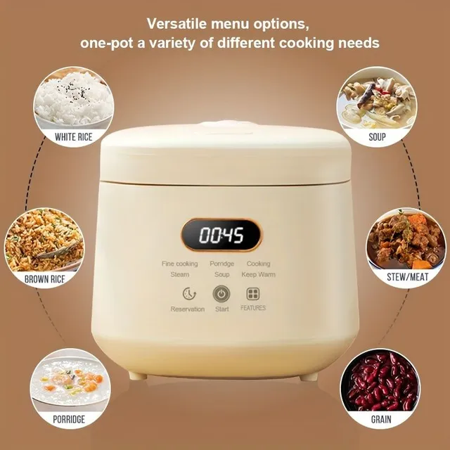 Small multifunctional rice cooker with removable non-stick container