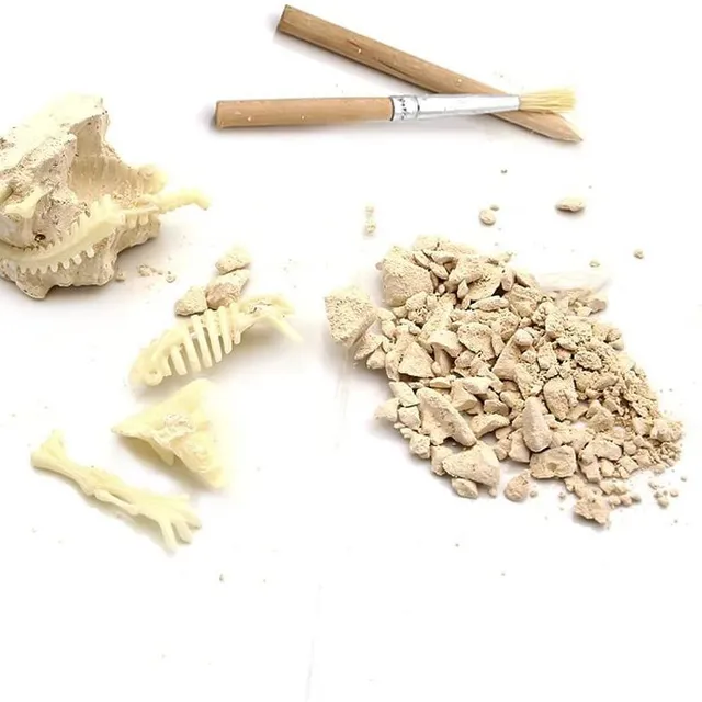 3D Bones of Dinosaur
