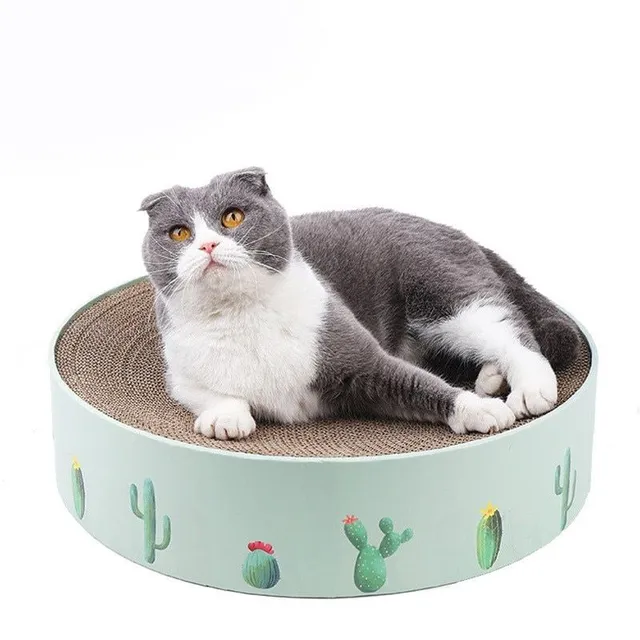 Modern practical bed for cats with scraper and printing