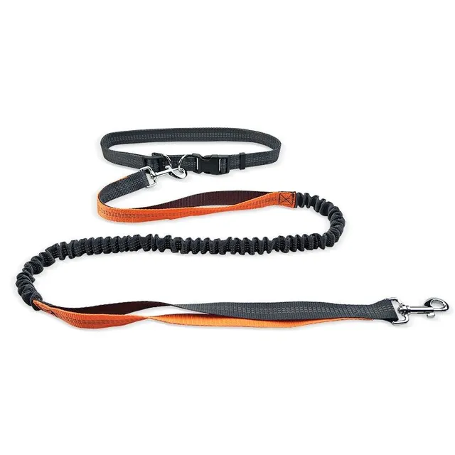 Reflective multifunctional running leash for dogs