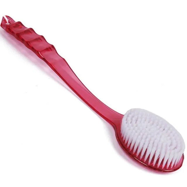 Back Brush with long handle