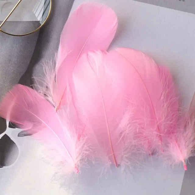 Natural coloured decorative feathers - 100 pcs