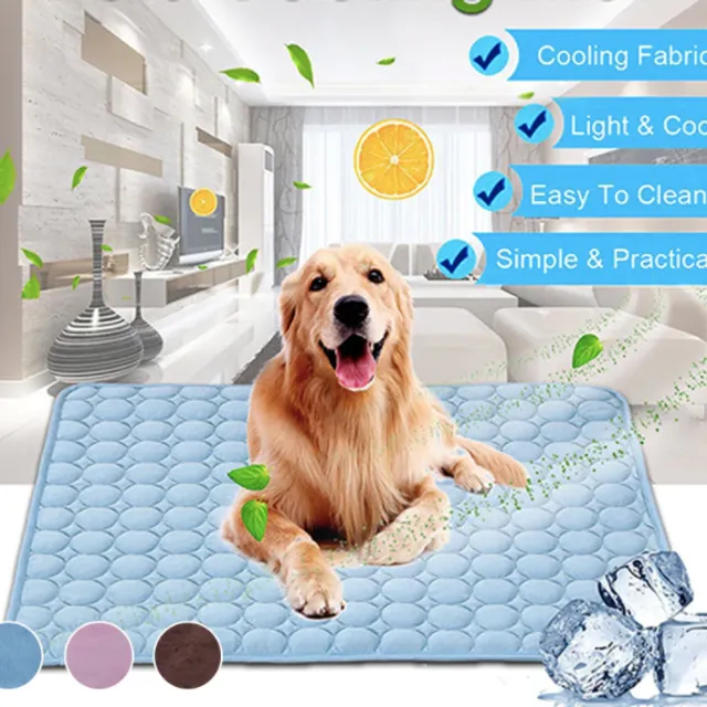 Cooling pad for dogs Charlles