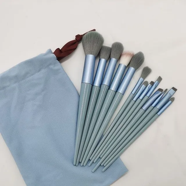 Set of cosmetic brushes for make-up - 13 pcs