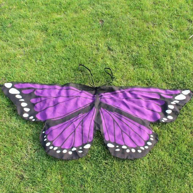 Zdobit motýlí křídla