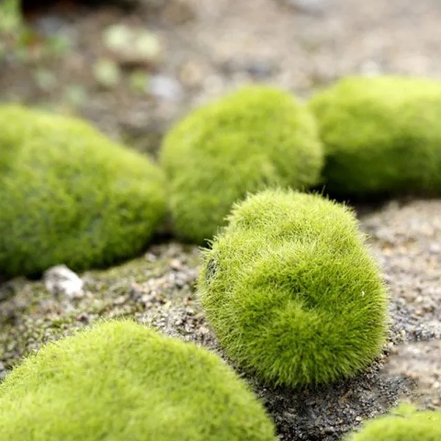 Artificial decorative moss