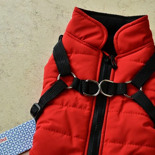 Warm, padded dog outfit with integrated harness for small and medium dogs