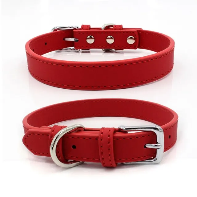 Luxury collar in imitation of skin for cats and dogs of small size - more colors Plinius