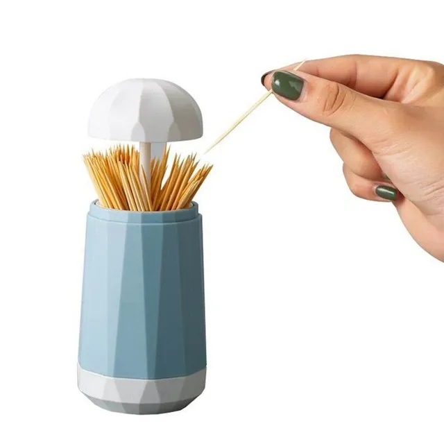 C244 toothpick dispenser