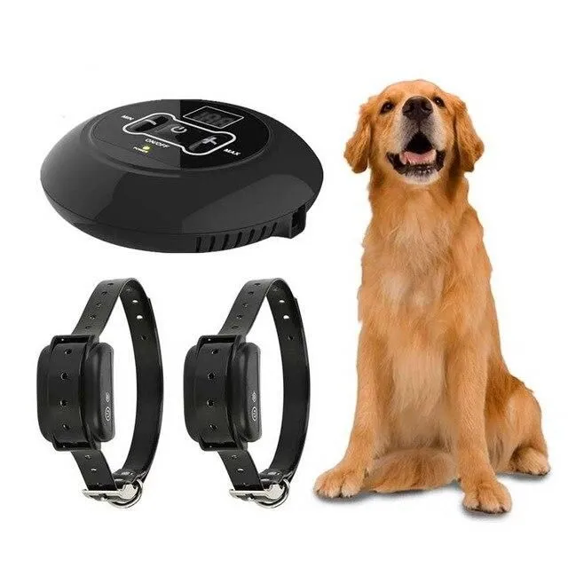 Wireless system for dogs with electric trainer