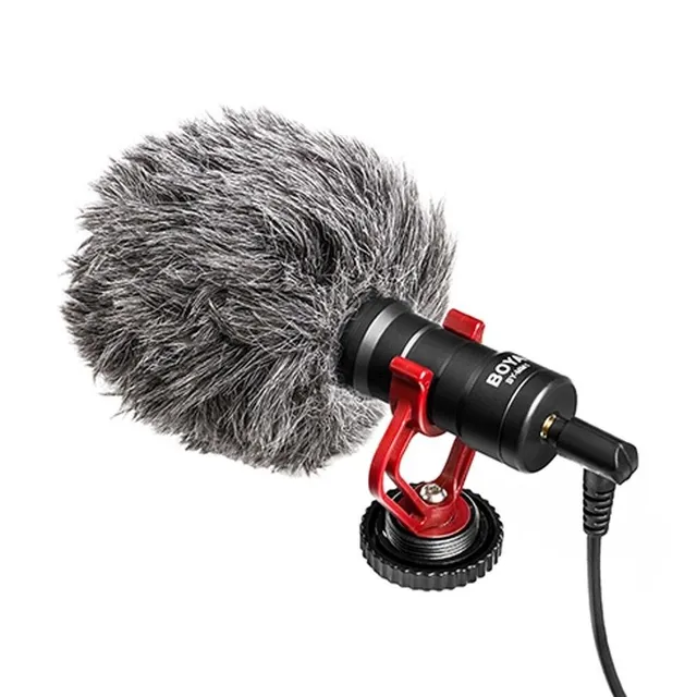 Microphone for camera