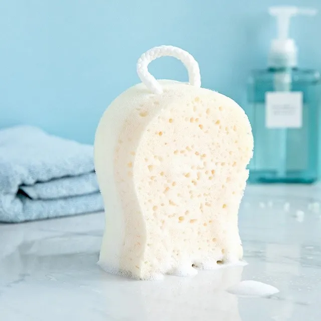 Washing sponge A810