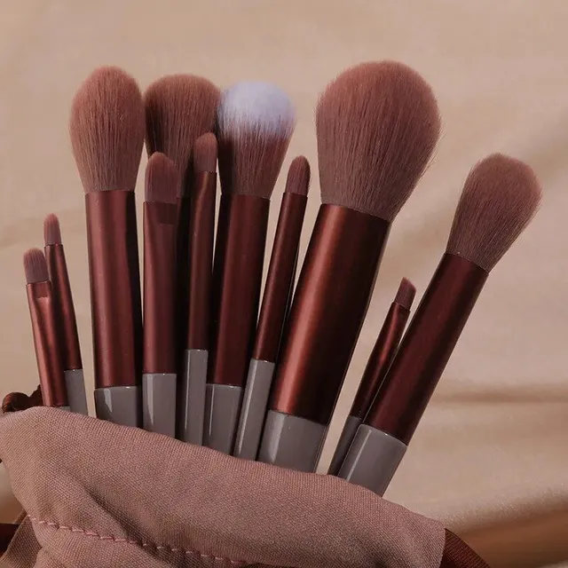Set of 13 cosmetic brushes for professional makeup - different colors