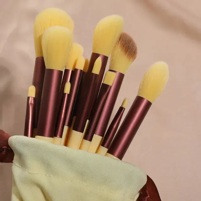 Set of 13 cosmetic brushes for professional makeup - different colors