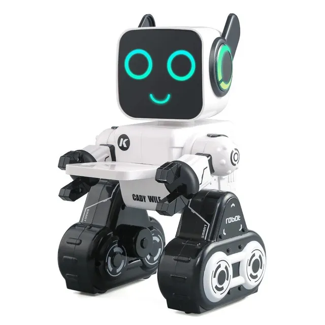 R4 Roboradce - intelligent robotic consultant, cashier and toy for children