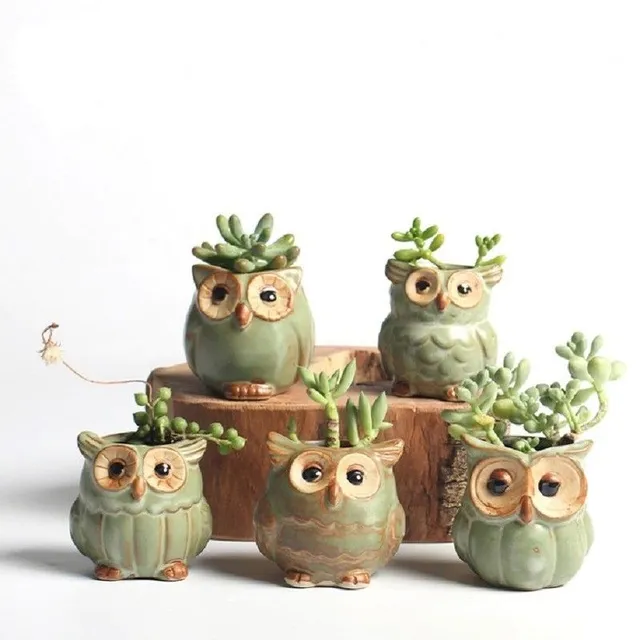 Ensemble de pots de fleurs en forme de hibou 5 pcs