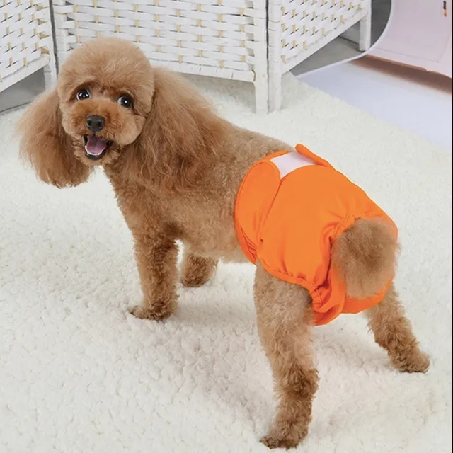 Colored Diapers For Dogs