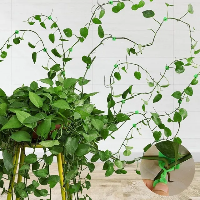 Clamps for plants leaves 100 pcs