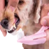 Pet Oral Care Supplies