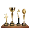 Trofeje a ocenenia