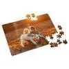 Jigsaw Puzzle