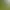 Náhradní nylonový strunový kotouč 100 m (328 ft) x 2,4 mm pro vyžínače, křovinořezy a sekačky - Univerzální příslušenství zahradního nářadí s cívkou