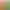Elastická guma v rôznych farebných prevedení - šírka 2 mm