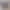 Dámské džínové ležérní kraťásky Reyna | kolekce 2021 color 1 S