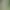 Velké hedvábné květy pampové trávy 100cm-b03-1pc