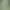 Velké hedvábné květy pampové trávy 100cm-b02-1pc