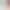 Varrat nélküli feszes sport melltartó-multiple színek